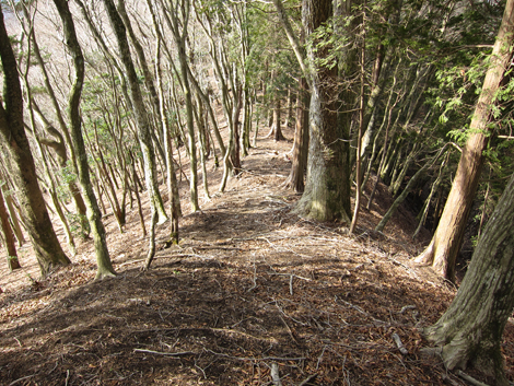 20190205hike (173)